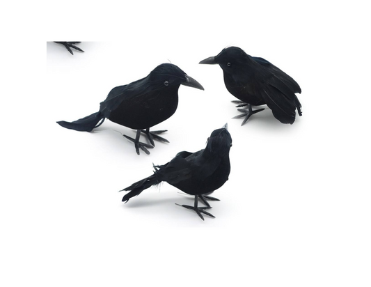 Pack of three crows