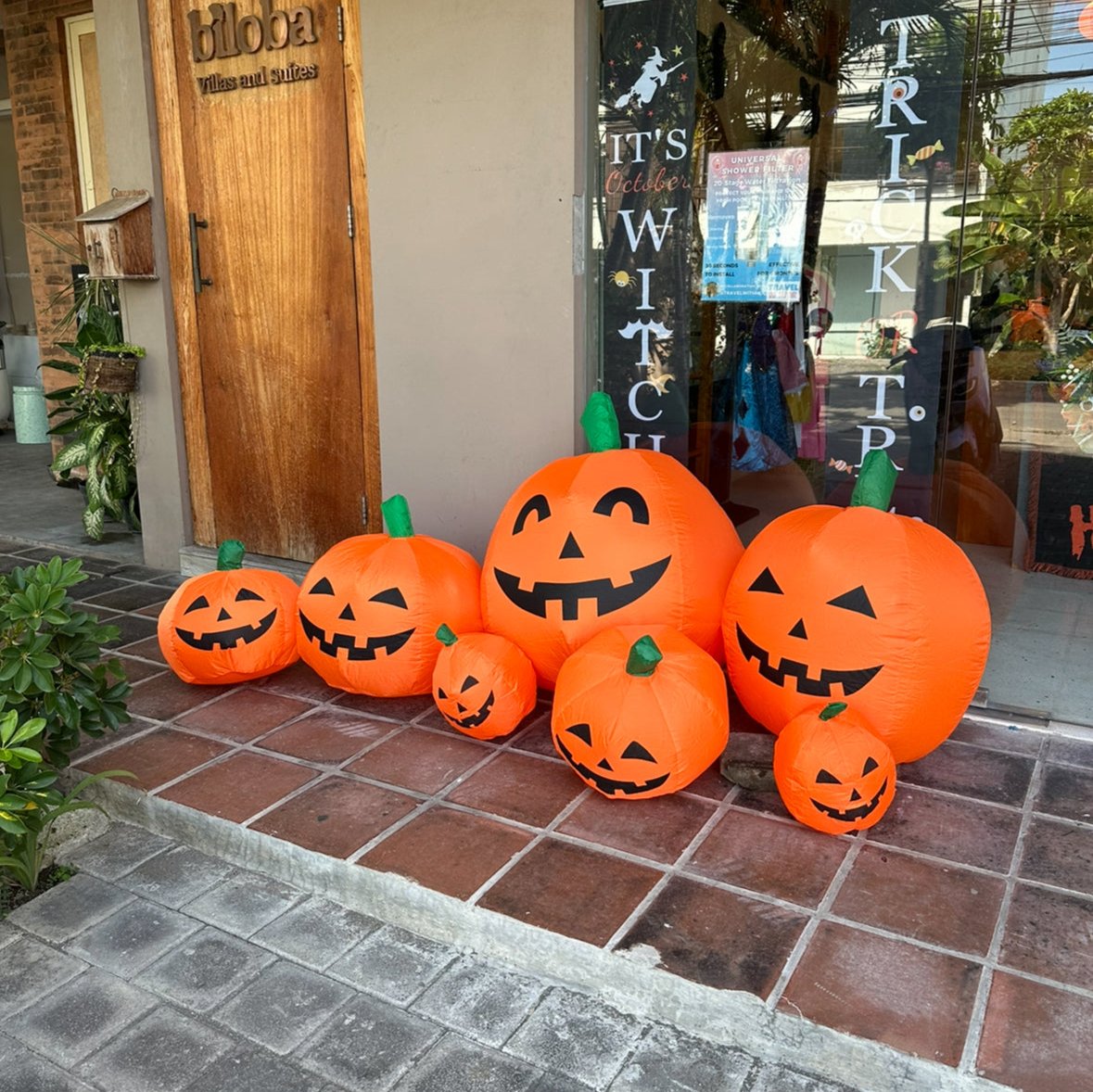 6Ft wide Inflatable Pumpkins