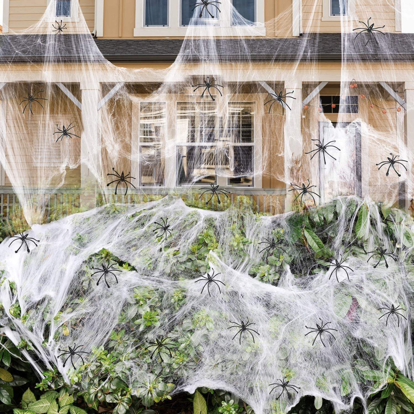 spider web extra large (200g)