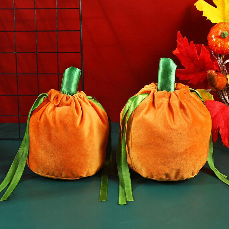 Velvet Pumpkin Pouch