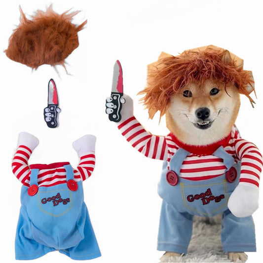 Dog Chucky