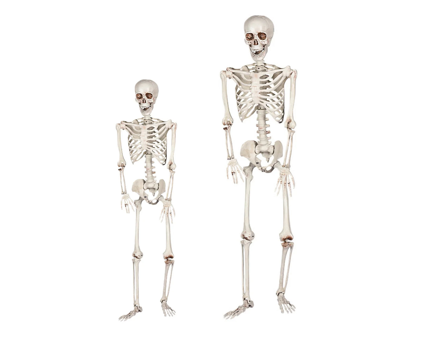 Skeletons