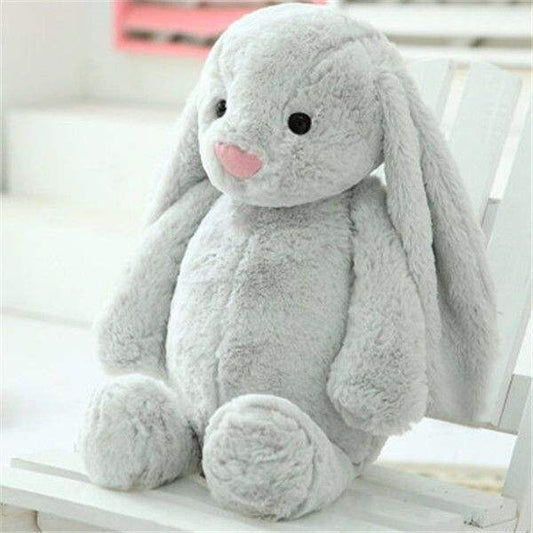Teddy Bunny