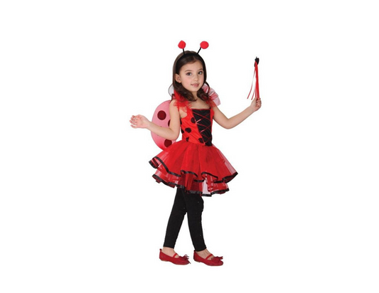 Lady Bug Fairy