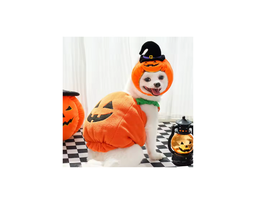 Dog Pumpkin Costume