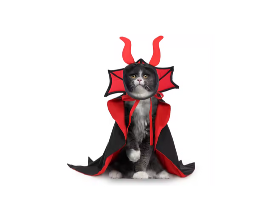 Cat/small dog costume