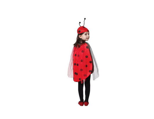 Lovely Ladybug